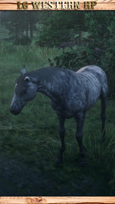 A_C_Horse_Thoroughbred_Brindle