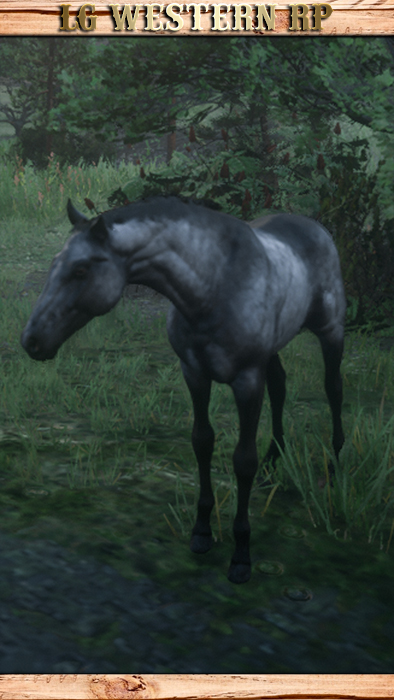 A_C_Horse_Turkoman_Silver