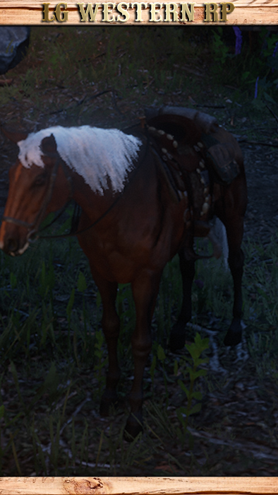 A_C_Horse_Winter02_01_