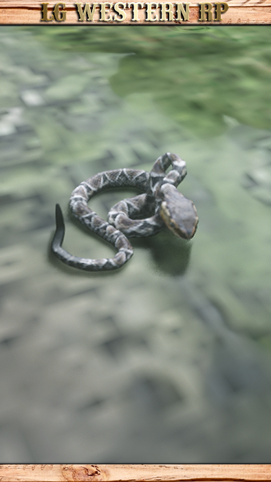 A_C_SnakeBlackTailRattle_01