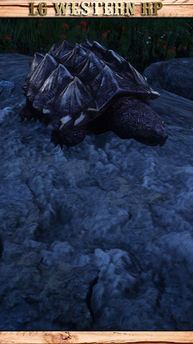 A_C_TurtleSnapping_01_