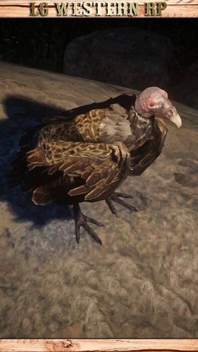 A_C_Vulture_01_