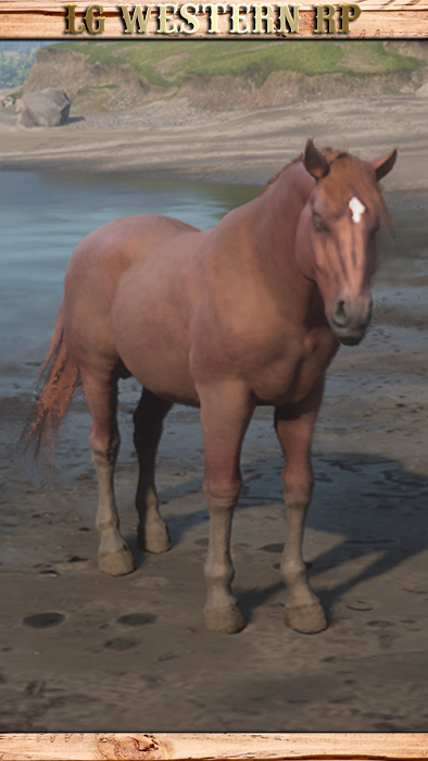 MP_A_C_HORSECORPSE_01