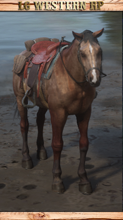 P_C_Horse_01_